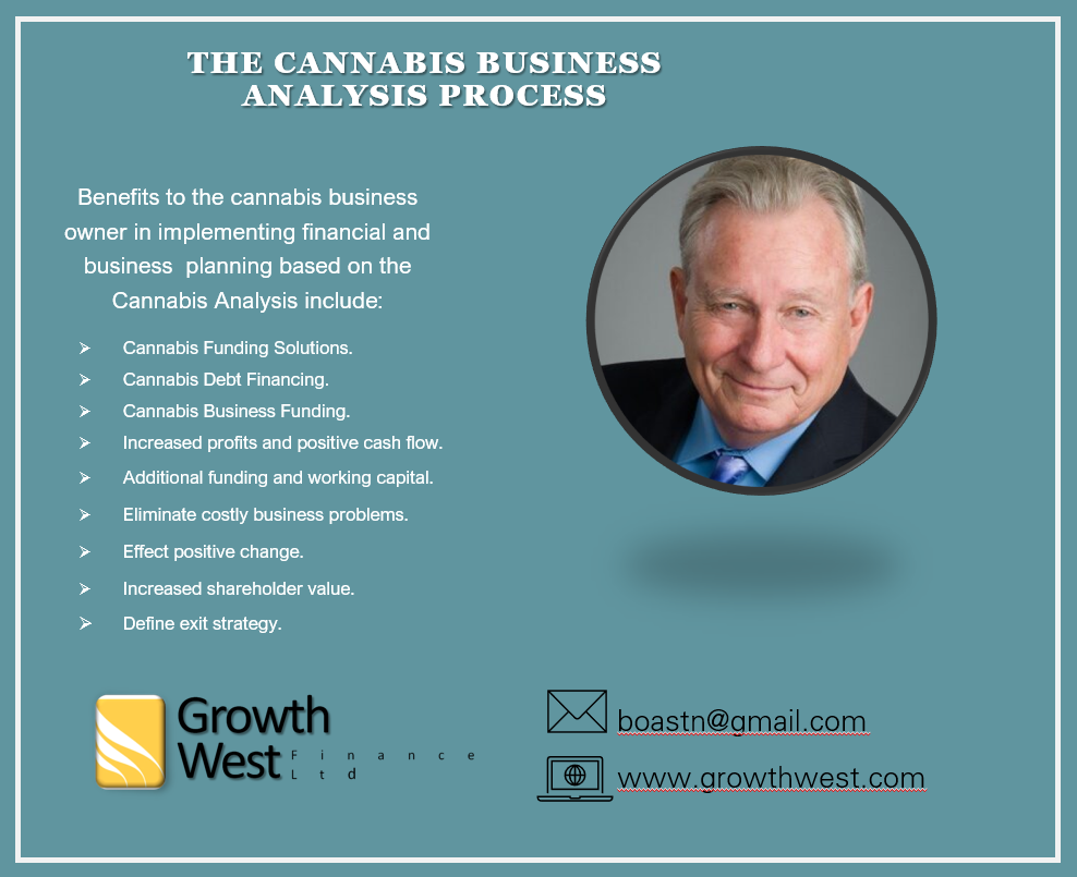 cannabis business analysis